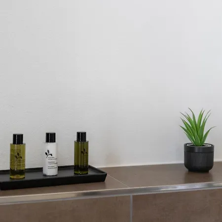 Casa Milla-zentrales, Modernes Loft In -am Fluss Mit Balkon, Parkplatz Und Grosser Kueche לאנגנטאל