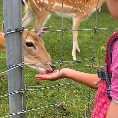 Casa Milla-zentrales, Modernes Loft In -am Fluss Mit Balkon, Parkplatz Und Grosser Kueche Daire