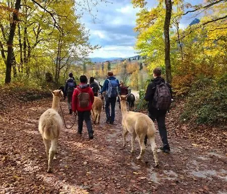 Casa Milla-zentrales, Modernes Loft In -am Fluss Mit Balkon, Parkplatz Und Grosser Kueche Apartmán Langenthal