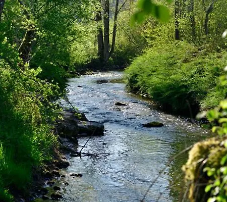 Daire Casa Milla-zentrales, Modernes Loft In -am Fluss Mit Balkon, Parkplatz Und Grosser Kueche