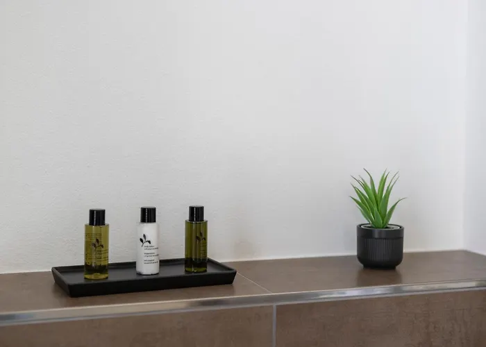 Casa Milla-zentrales, Modernes Loft In -am Fluss Mit Balkon, Parkplatz Und Grosser Kueche לאנגנטאל